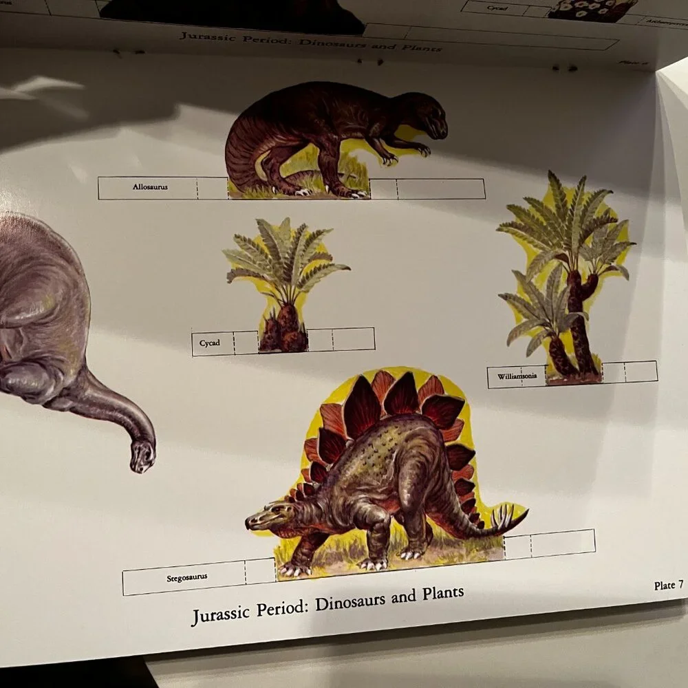 Dinosaur Dioramas to Cut and Assemble (2 Complete‎ 3-D Scenes) (copyright 1983)